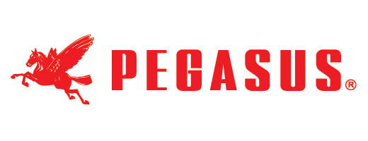 PEGASUS